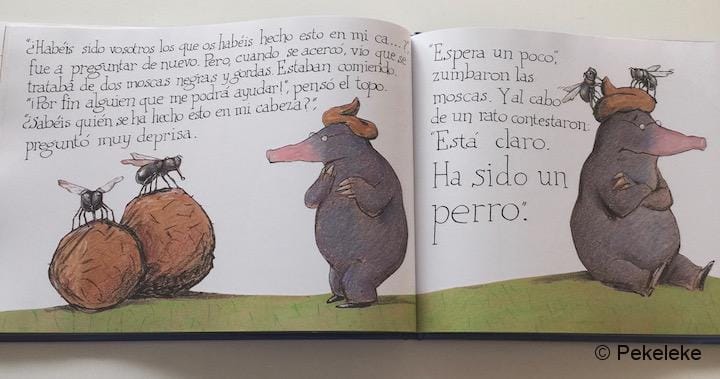 El topo que quería saber quién se había hecho aquello en su cabeza (interior_2)
