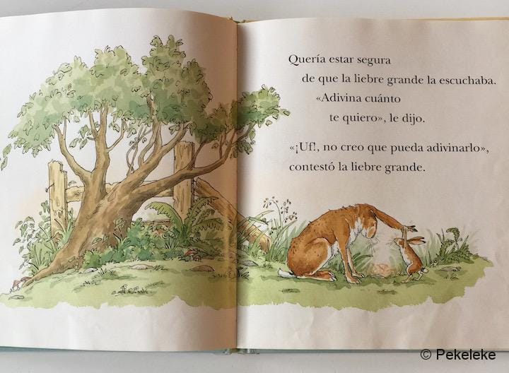 Adivina Cuánto Te Quiero (interior)