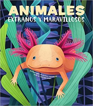 Animales extraños y maravillosos (portada)